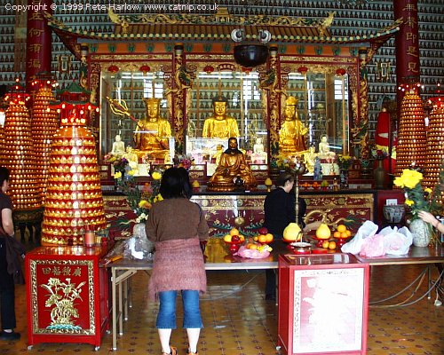 Inside the Temple of 10000 Buddhas