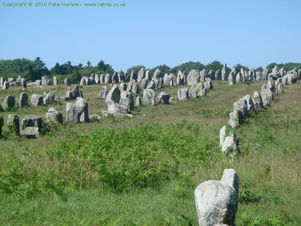 The Standing Stones at Carnac