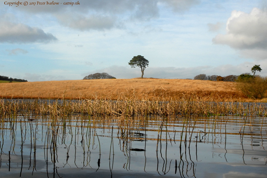 The pond at Priddy Mineries