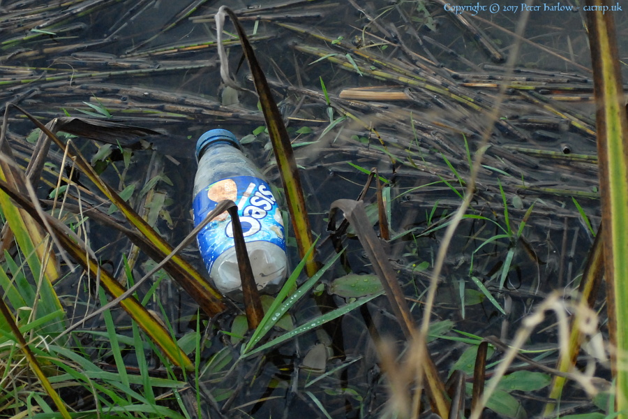 Plastic Bottle